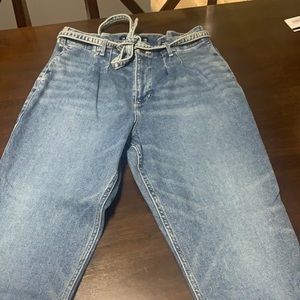 Hollister paper bag was it mom jeans